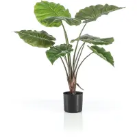 Huismerk Kunstplant Alocasia Groen - 70 cm hoog