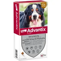 Advantix Spot On 600 Anti Vlooien en Teken Druppels Hond 40 - 60 kg 6 pipetten