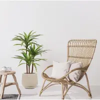 Maxifleur Kunstplanten Draceana Massangeana kunstplant Deluxe 95cm