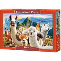 Castorland Llamas Selfie – Puzzel – 1.000 stukjes – Satijnen afwerking – Perfecte pasvorm – Europese kwaliteit