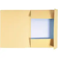 Exacompta 50x FOREVER bedrukte map met 3 kleppen - 280gm2 - 24x32 cm voor A4 - Gems - 448002E
