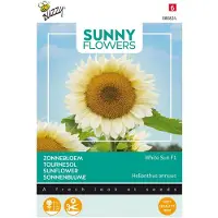 Buzzy - Sunny Flowers, Zonnebloem White Sun of Day