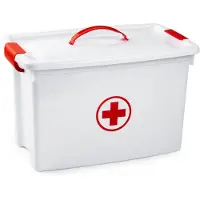 Forte Plastics EHBO opbergdoos met vakken - 22L - 28 x 45 x 28 cm - kunststof - verband/pleisters box - Eerste hulp - Opbergkisten
