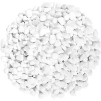 Concorde decoratie steentjes - wit - 1050 gram - kiezelstenen - hobby stenen - 2,5 cm - decoratiesteentjes