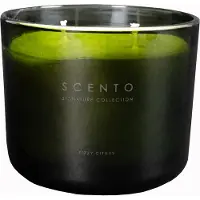 Scento - Signature Collection Fizyy Citrus Kleine Kaars