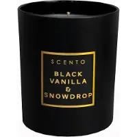 Scento - Black Vanilla & Snowdrop Kleine Kaars