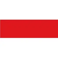 Talamex Poolse vlag