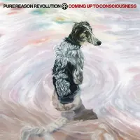 CENTURY Coming Up To Consciousness Édition Limitée Vinyle Coloré