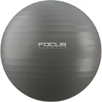 Focus fitness Gym Ball - - Zwart - 65 cm