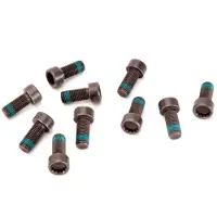 LuK Schroevenset, vliegwiel 411 0133 12 LUK voor o.a. AUDI, SKODA, VOLKSWAGEN