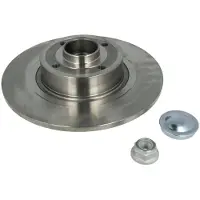 Delphi Remschijf BG9032RS achter, volledig, 1 Stuk
