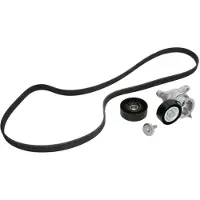 INA 529 0183 10 Poly V-riem set
