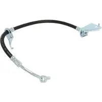 Delphi Remslang LH7283