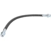 Delphi Remslang LH7315