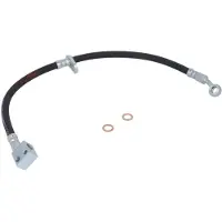 Delphi Remslang LH6491