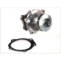 THERMOTEC Waterpomp D1Y033TT