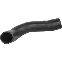 THERMOTEC Laadluchtslang DCG269TT