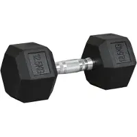 HOMCOM HOMdotCOM Rubberen fitness dumbbell, metaal met rubber zwart 12,5 KG