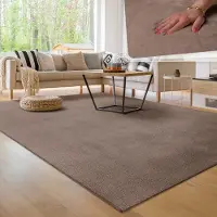 Paco Home Moderne woonkamer tapijt kortpolig wasbaar zacht uni effect bont antislip 60x100 cm