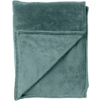 Dutch decor - CHARLIE - Plaid 200x220 cm - extra grote fleece deken - effen kleur - Sagebrush Green - groen
