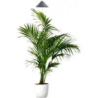 SmartaSaker SUNLiTE Kweeklamp XL 25W gris, LED groeilamp met telescopische staaf, groeilamp voor kamerplanten en groene planten