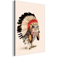 MuchoWow Wanddecoratie Metaal - Aluminium Schilderij Industrieel - Dier - Uil - Indiaan - Vogel - 30x40 cm - Dibond - Foto op aluminium - Industriële muurdecoratie - Voor de woonkamer/slaapkamer