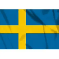 101 Inc Vlag Zweden, Zweedse vlag