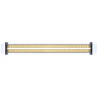 Sammode Quadratube P2 Hanglamp Champagne | 130 cm