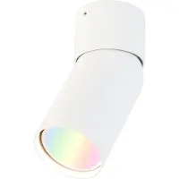 QAZQA Smart spot wit verstelbaar incl. Wifi GU10 - Falo
