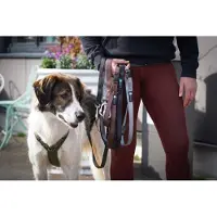AnnyX Hondenriem-RUN FUN- BRUIN -hondenlijn -jogging-hardlopen-sportlijn -heuplijn -200cm