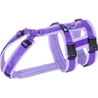 AnnyX hondentuig Safety FUN Lavendel maat XS geschikt voor borstomvang; 43-52cm- Tailleomvang: 38-46 cm