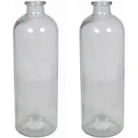 Floran Set van 2x stuks glazen vaas/vazen 3,5 liter smalle hals 11 x 33 cm - Vazen