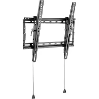 EFB Elektronik Beugel - voor LCD-tv - Zwart - Geschikt voor schermformaten: 81,3-177,8 cm (32"-70")