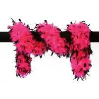 Coppens Luxe boa pink/zwart |