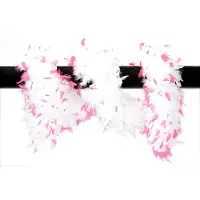Coppens Luxe boa wit/pink |