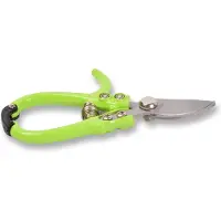 Discountershop Bloemenschaar Snoeischaar: Handig Linkshandig Bloemenschaartje voor Bloemen - Metaal, Groen, 16x8x1 cm