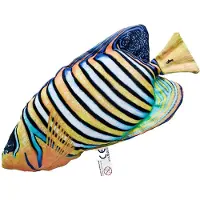 Gaby The Regal Angelfish Medium Veelkleurig