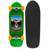 D Street Wilderness Cruiser Skateboard