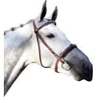 QHP Neusnetje