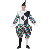 MOM Harlequin Hoodbacket Clishes Cuffs And Pants Costume Veelkleurig L Kinderen