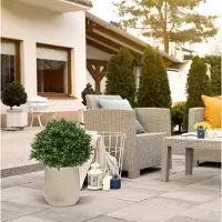 Maxifleur Kunstplanten Buxus bol deluxe kunstplant N 40cm - UV bestendig