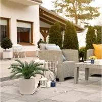 Maxifleur Kunstplanten Cycas deluxe kunstpalm 60cm - UV bestendig