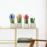 Green bubble Sansevieria VELVET TOUCHZ - Blauw - oranje - rood - wit