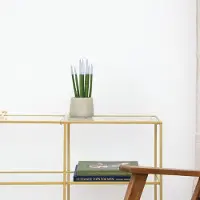 Green bubble Sansevieria Cylindrica Velvet Touchz wit - 25cm