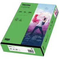 Inapa Multifunktionspapier colors, A4, 160 g/qm,intensivgrün blanko, für Inkjet-, Laserdrucker, Kopierer