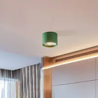 Argon Plafondspot Chloe vast, groen Chloe, dimbaar, groen, Woon-/ Eetkamer, metaal, Modern, halogeen spot