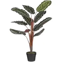 Mica Decorations Calathea roseopicta Kunstplant - 60x60x90 cm - Groen