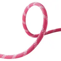 Edelrid - Performance Static 11,0 mm - Statisch touw 200 m, roze