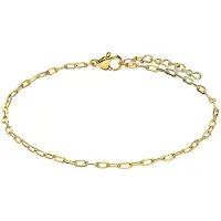 Lucardi Dames Stalen goldplated armband closed forever 2mm - Armband - Staal - Goud - 22 cm
