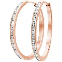 Lucardi Oorbellen rose-goud / transparant